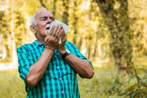 Older man in need of senior allergy care, standing outdoors among trees and grasses and preparing to sneeze